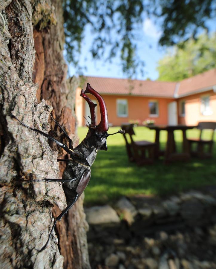 Penzion Lukov Lukov  Buitenkant foto